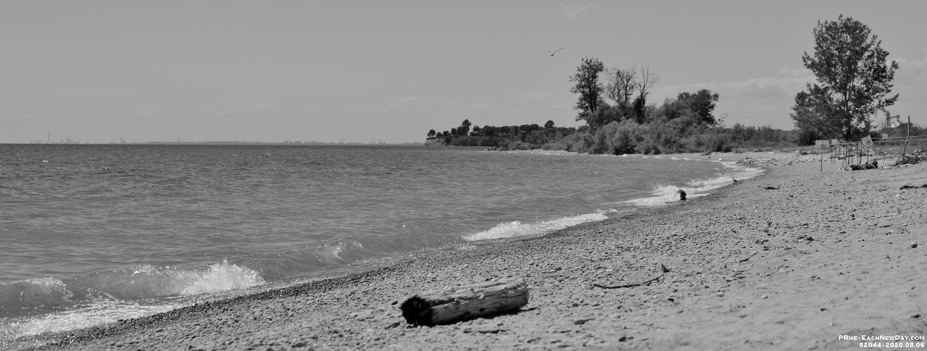 62944RoCrLeReShBw - Lunch on the beach at Darlington Provincial Park